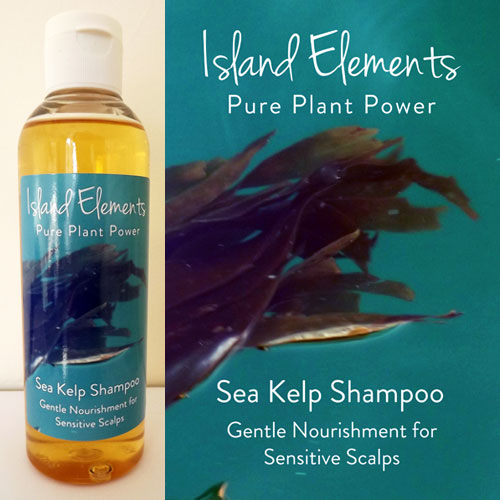 Sea Kelp Bottle Label